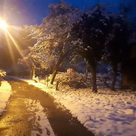 Petit Belosevic * Kuzelj