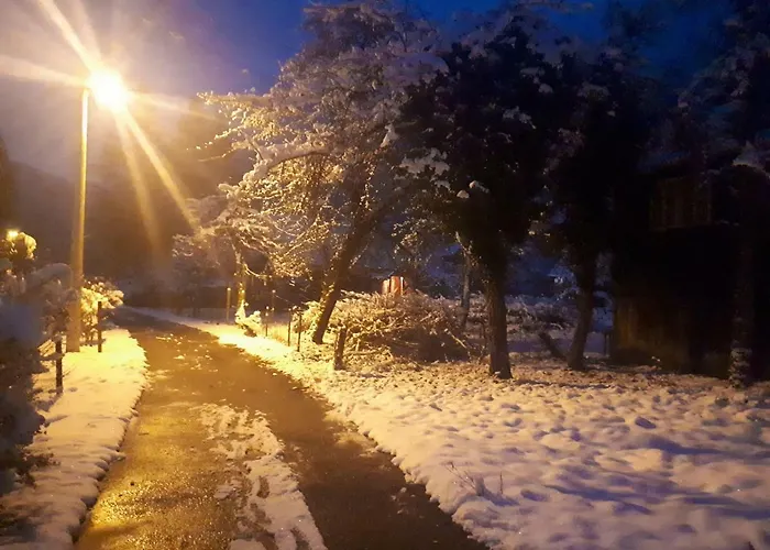 Petit Belosevic * Kuzelj