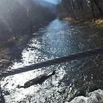 Nyaraló Petit Belosevic