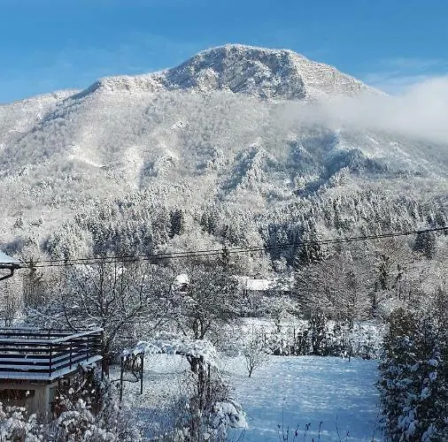 Petit Belosevic Vikendica